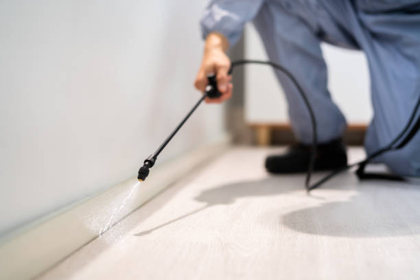 Bed Bug Pre-Treatment Preparation Assessment in Palm Desert