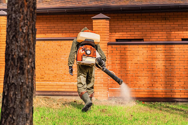 Bed Bug Clearance Verification and Documentation in Palm Desert